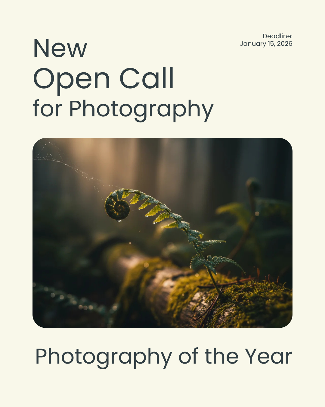 Photography of the Year 2025 Grid Photo Gallery